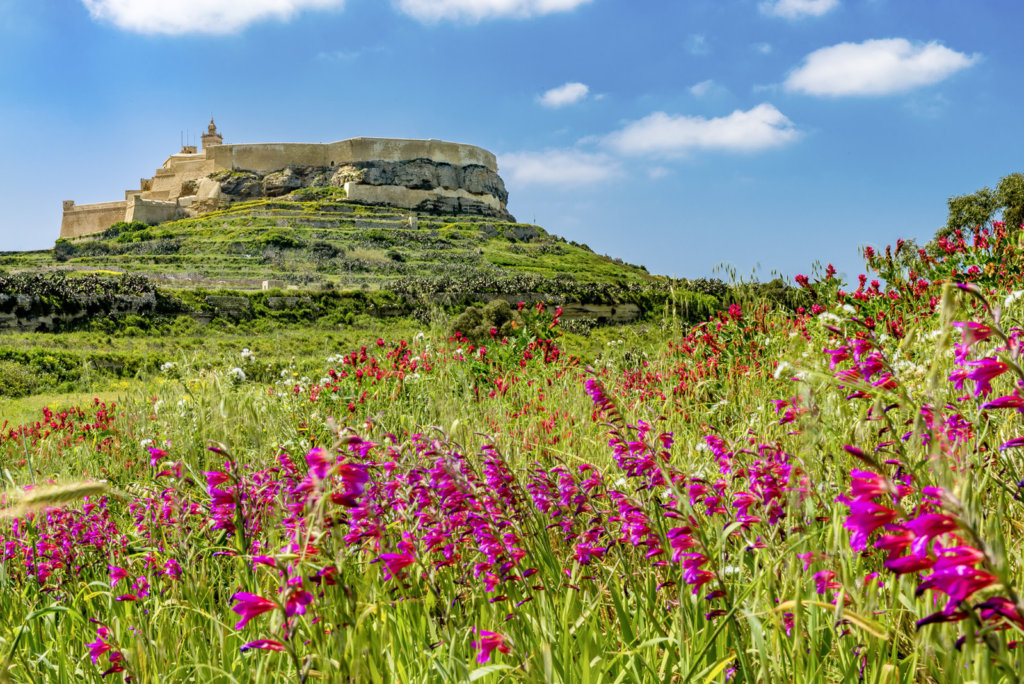 La Citadelle de Gozo